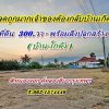 ด่วนลดราคาถูกมากเจ้าของต้องย้ายกลับบ้านเกิดที่ดินพร้อมสิ่งปลูกสร้างที่หนองจอก T.062-1574449
