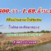 ที่ดินบ้านสวน ใกล้ชุมชน ใกล้ตลาดติดลาดยาง คลอง12 หนองเสือ-T.062-1574449