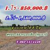 ถูกสุดในโซนนี้ ที่ดิน หนองเสือคลอง10 ปทุมธานี-แบ่งจ่ายได้ T.062-1574449